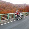 紅葉に囲まれて