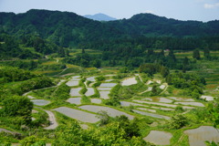 棚田段々（広角）