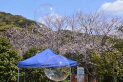 98714797-1B31-460D-A24D-709E7369BA8E