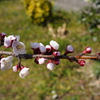 DSC01368