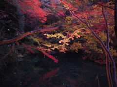 六義園的な