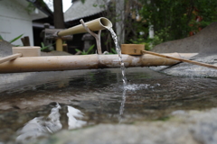 浄めの水