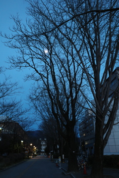 今日の月Ⅰ