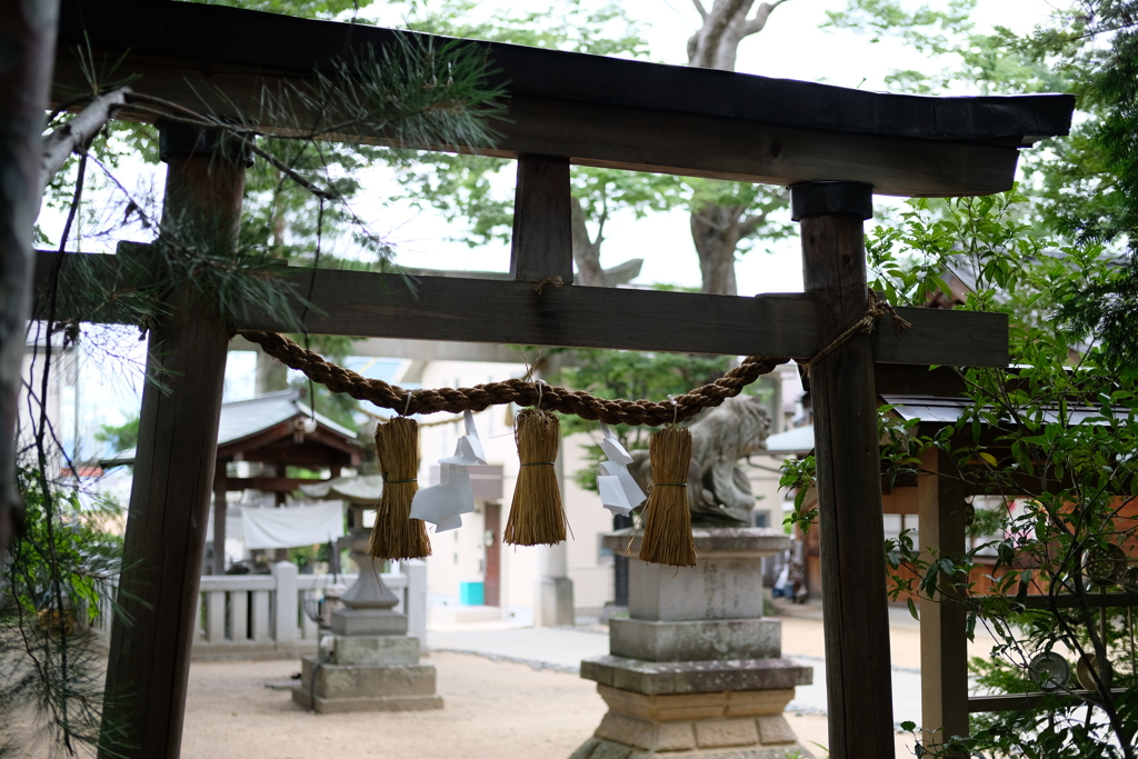 夏の境内