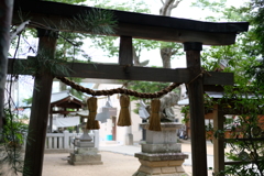 夏の境内