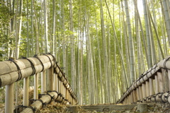 竹林公園２