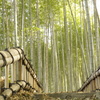 竹林公園２