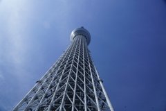東京観光６