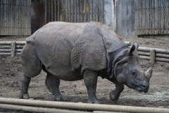 多摩動物公園