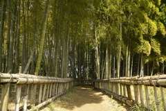 竹林公園３