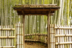 竹林入り口