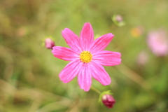 公園散歩2