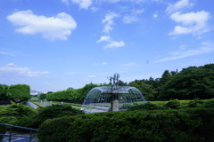 昭和記念公園３