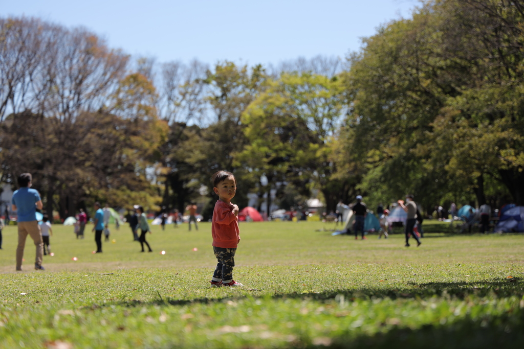 晴れた公園１