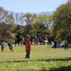 晴れた公園１