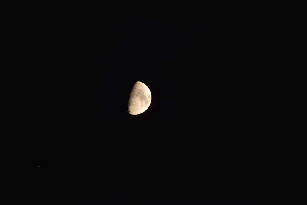 十日夜の月