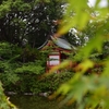 神泉苑