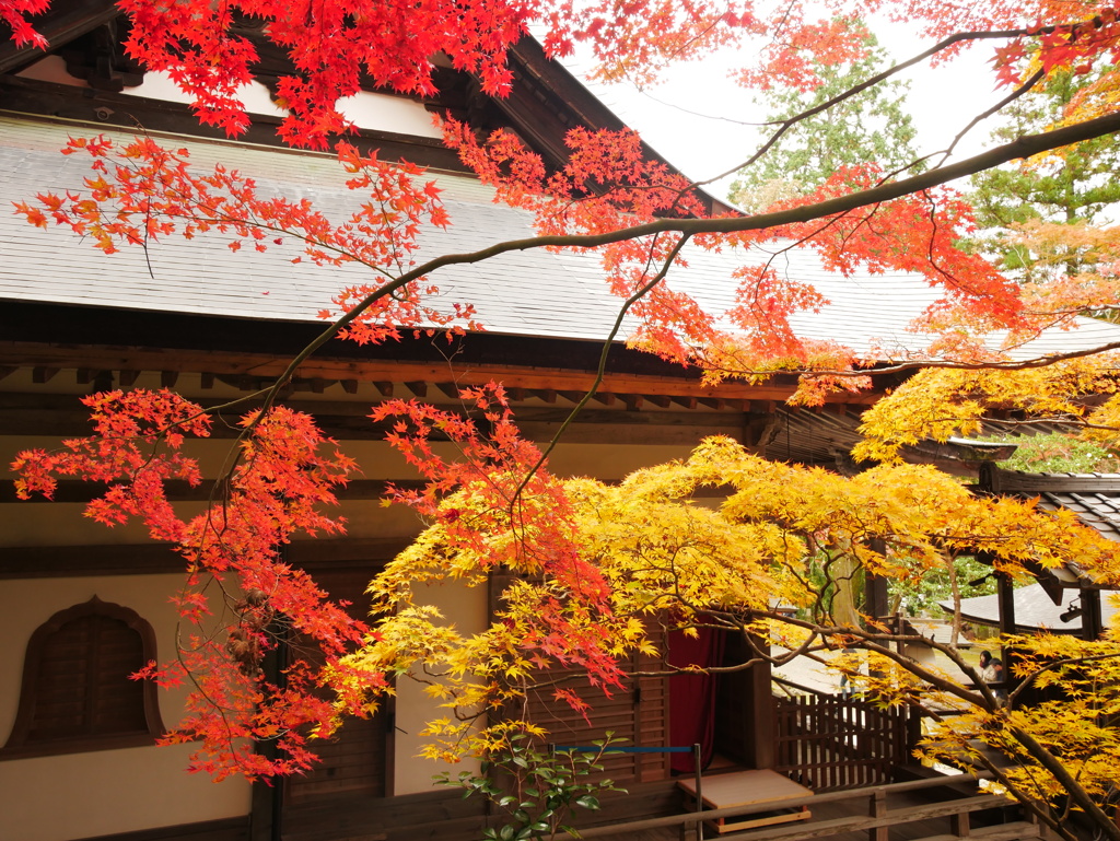 神峯山寺 本堂 ～2019 秋～