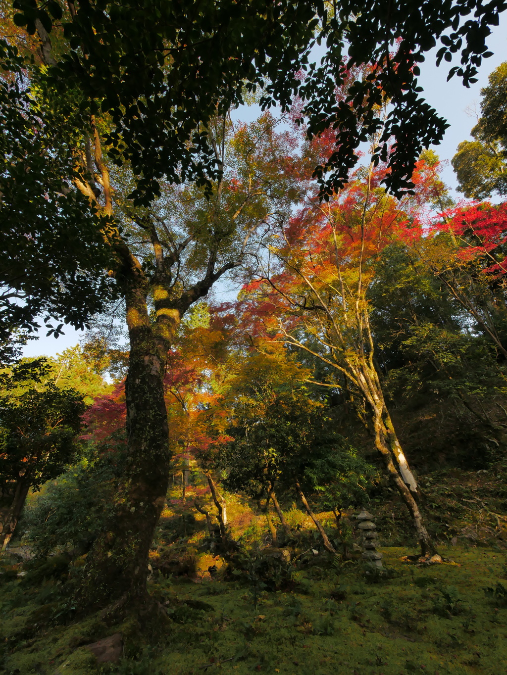 神峯山寺の秋2021 ①