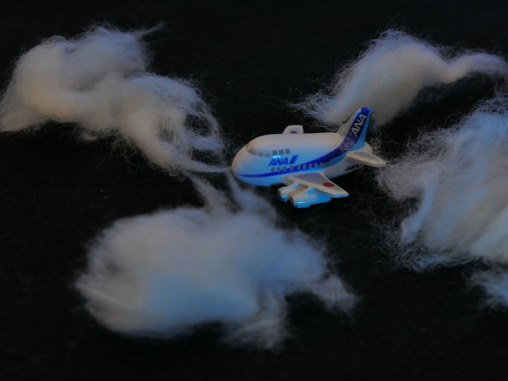 おうちdeフォト「空の旅～月明かりの中で～」