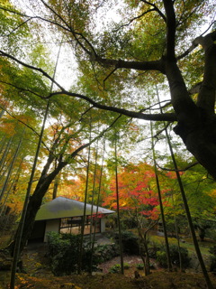 神峯山寺の秋2021  ⑧