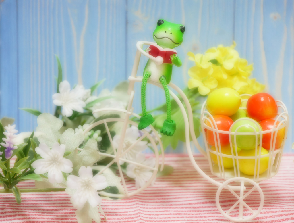 おうちdeフォト｢優しい春｣