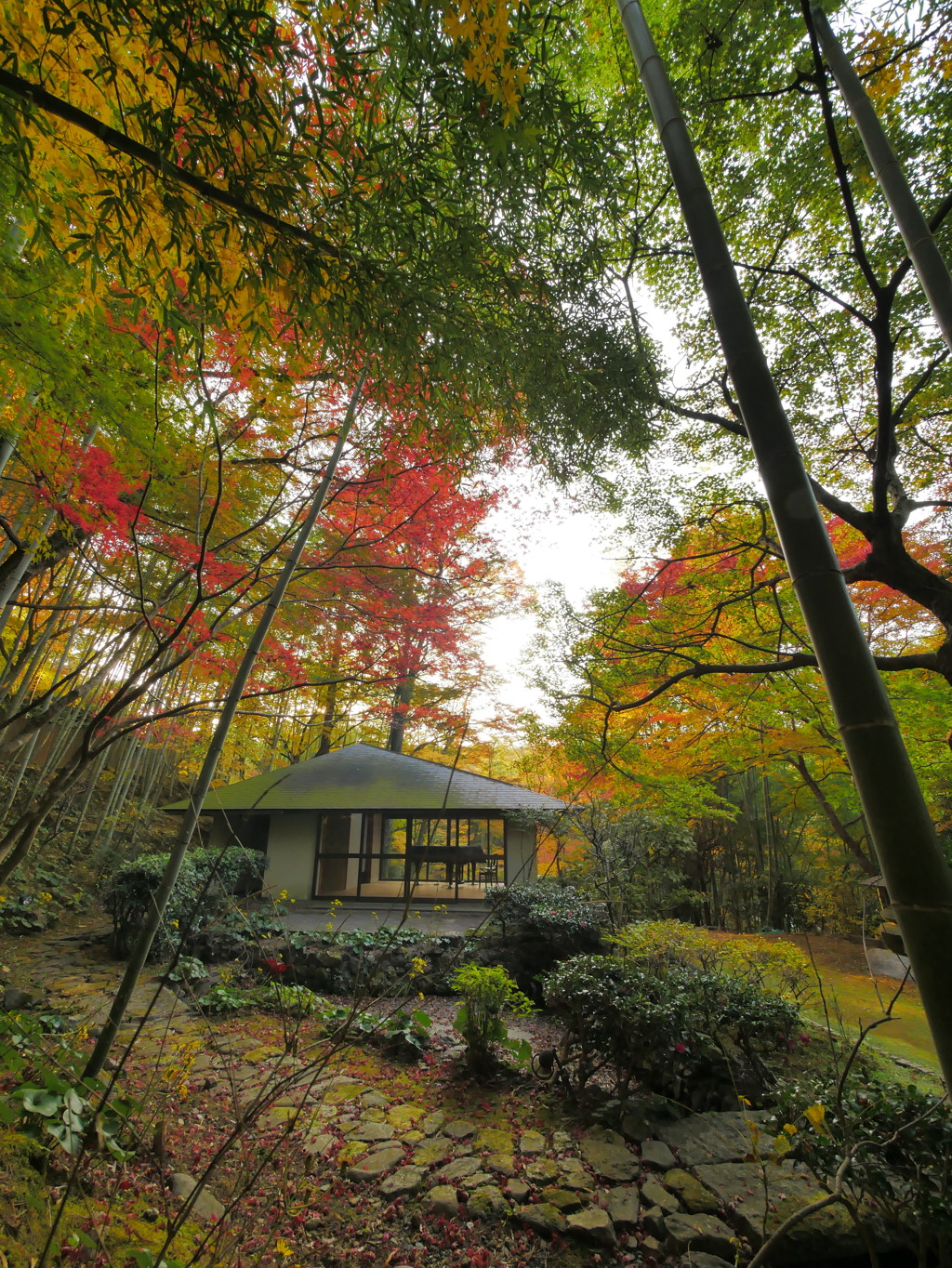 神峯山寺の秋2021 ③