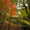 神峯山寺 真珠院 天真庵 ～2019秋～