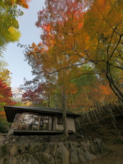 神峯山寺の秋2021 ④