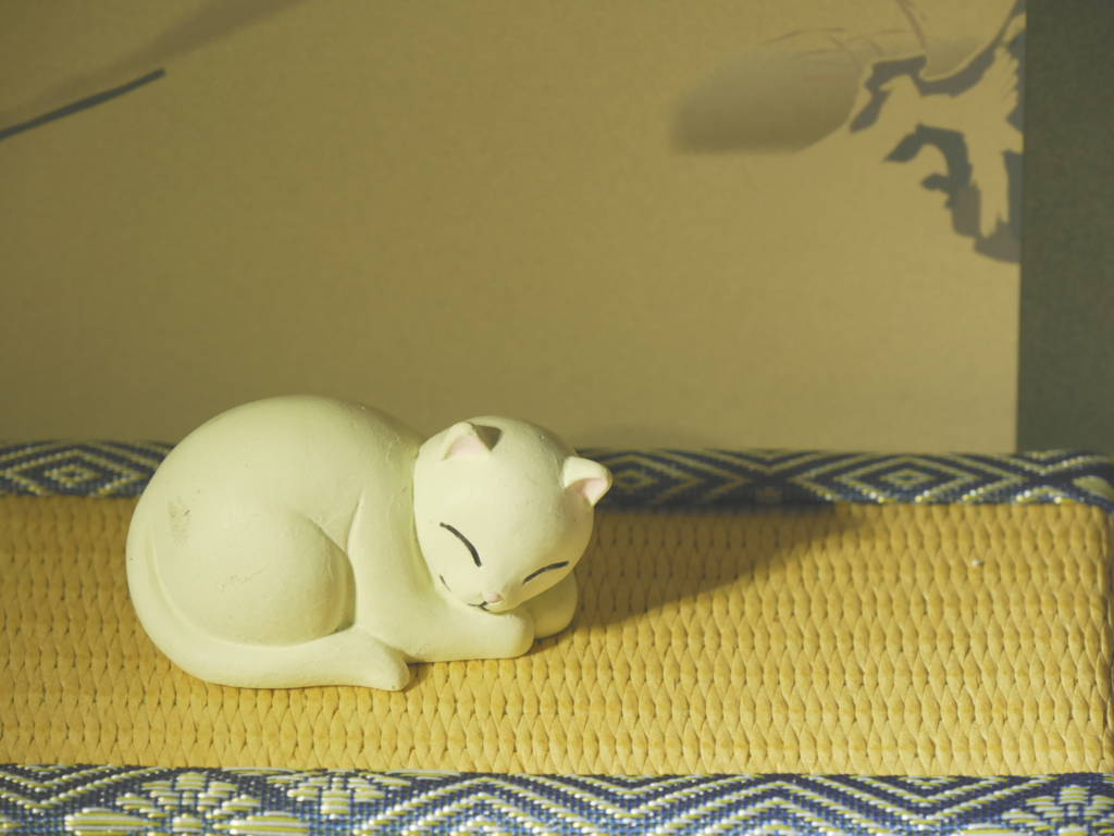 おうちdeフォト「猫のお昼寝」