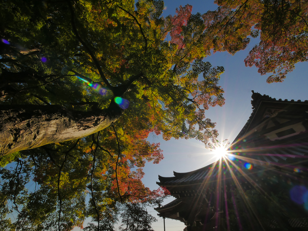 一乗寺と秋の空