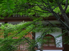 日本の夏 ～伊勢寺 2019～