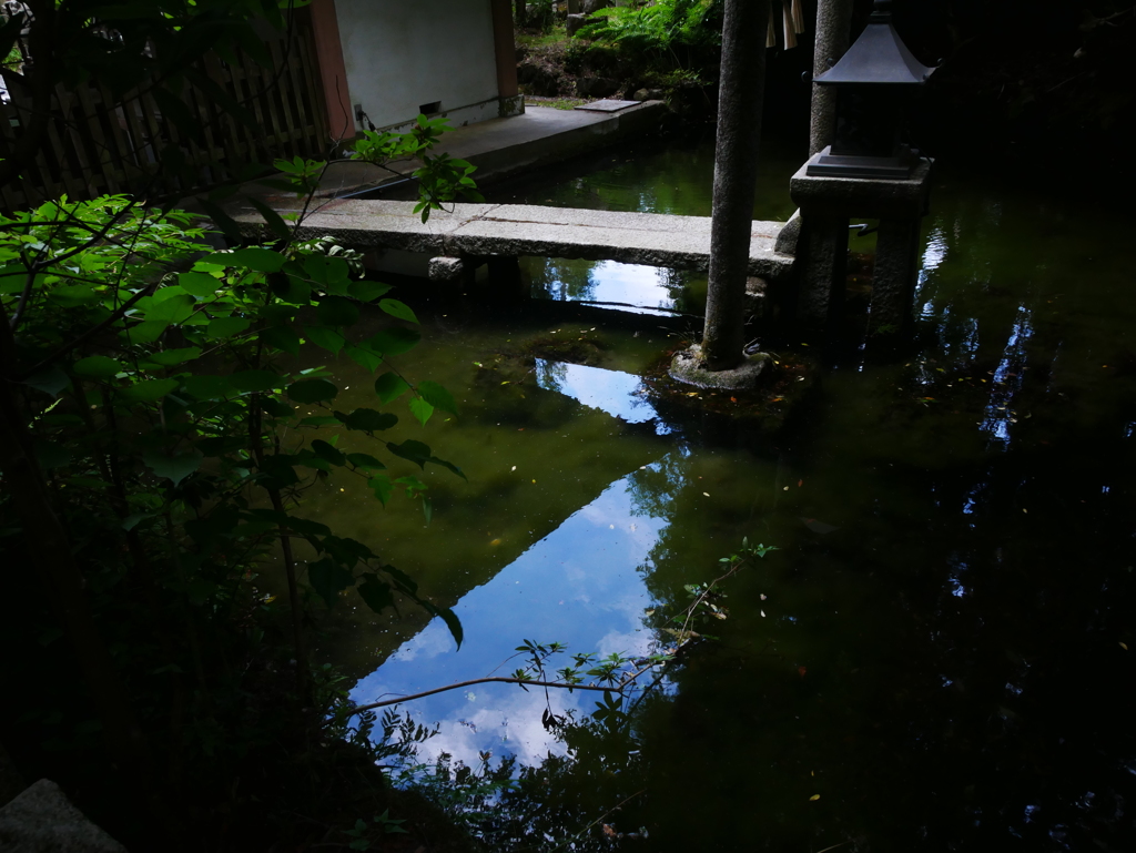 池に映る青空