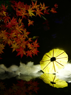 おうちdeフォト「和傘編  紅葉と黄色い傘」