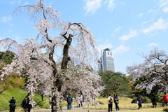 小石川後楽園　2