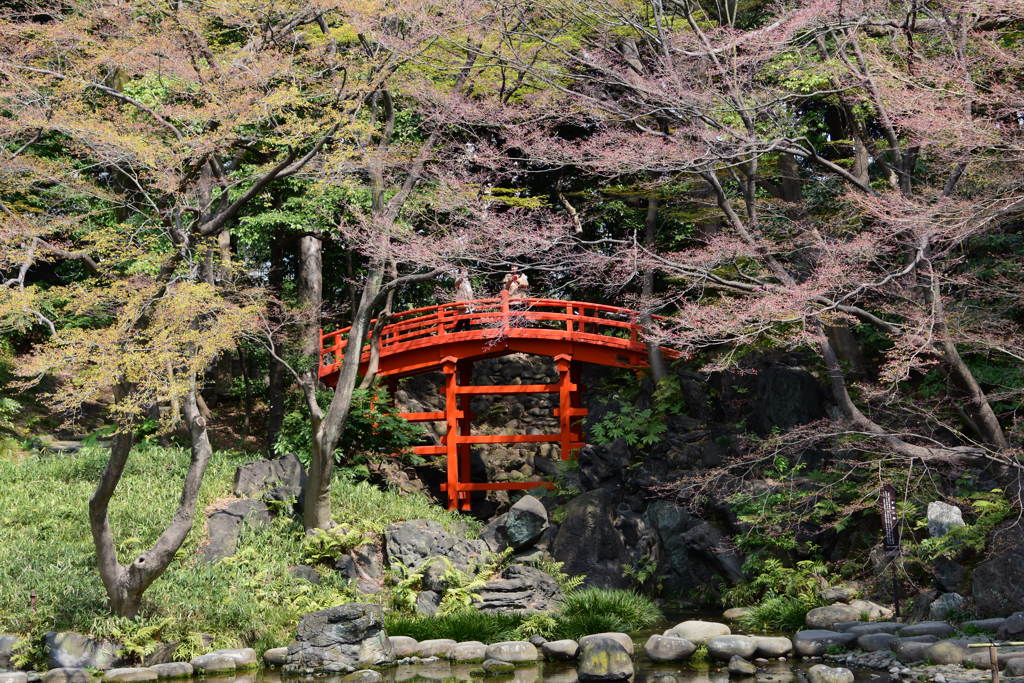 小石川後楽園　3