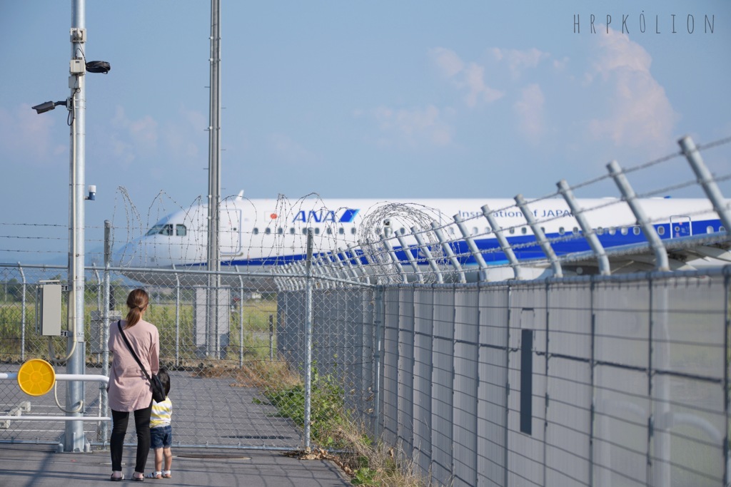 親子とANA