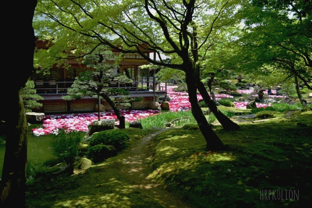 由志園