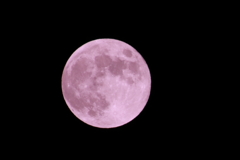 ピンク色に染まった月