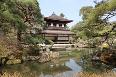 銀閣寺　春