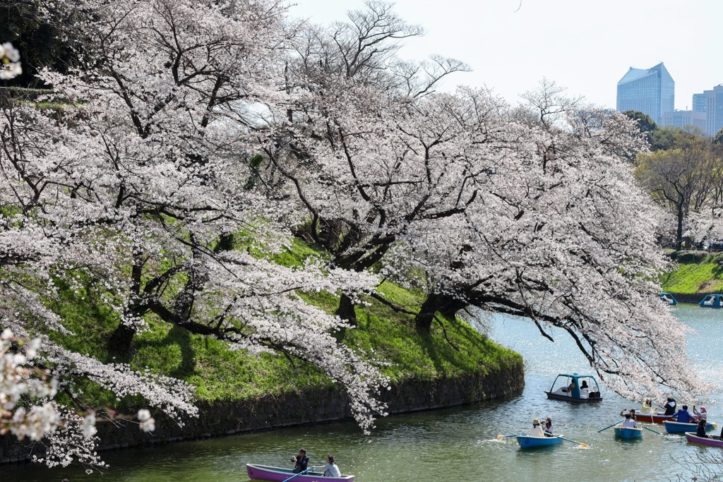 千鳥ヶ淵2021