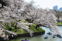 千鳥ヶ淵2021