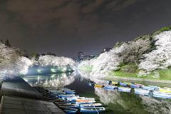 千鳥ヶ淵2018夜桜