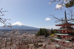 朝倉山浅間公園2