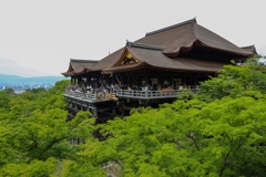 22年　5月清水寺　