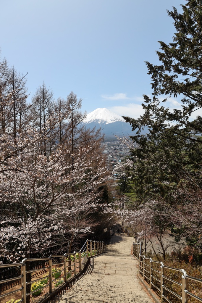 朝倉山浅間公園3