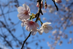 20190331153708_IMG_0873
