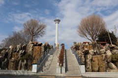 20190113125629_IMG_0425