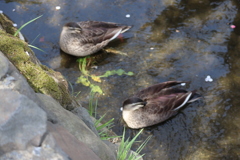 20190406120621_IMG_1009