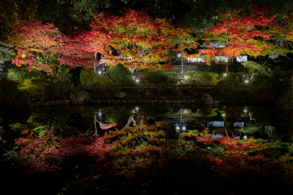 横浜公園